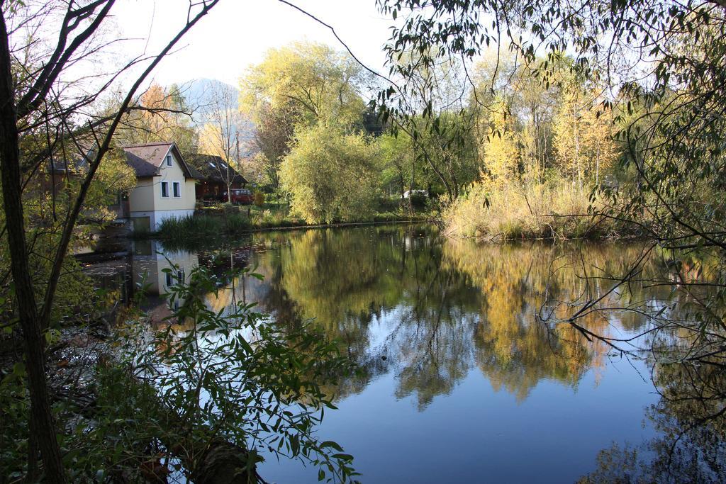 Отель Steinschalerhof Warth  Экстерьер фото